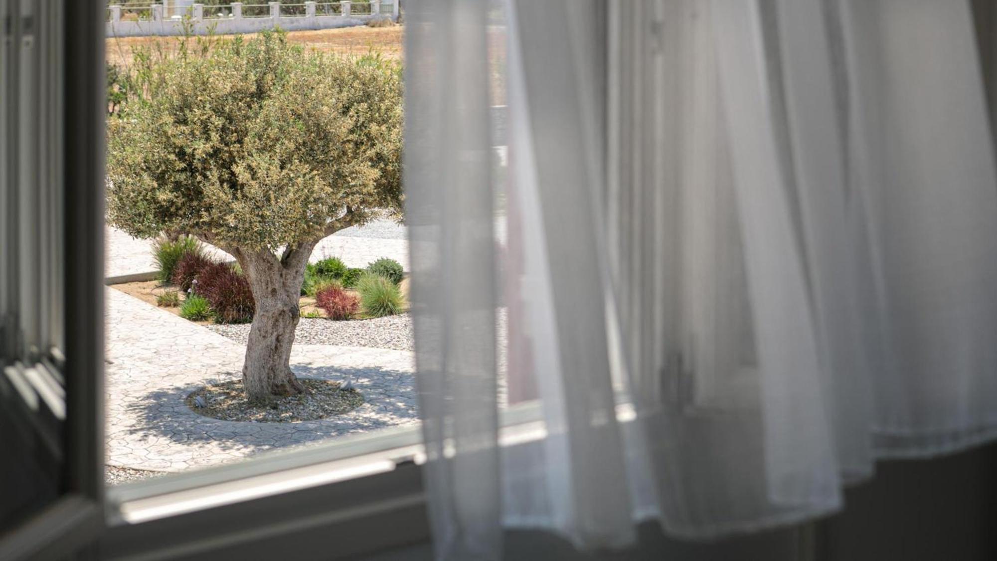 Olives Rocks Naxian Villas Agia Anna  외부 사진