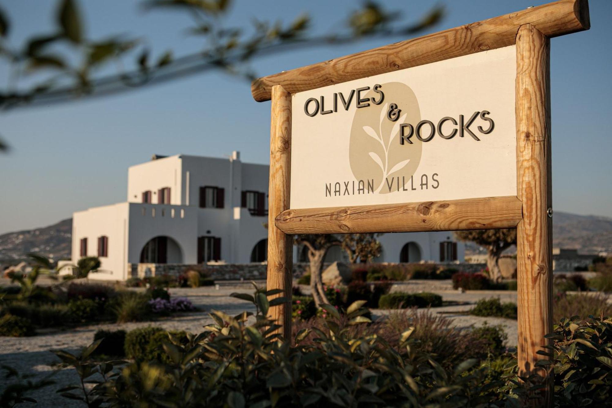 Olives Rocks Naxian Villas Agia Anna  외부 사진