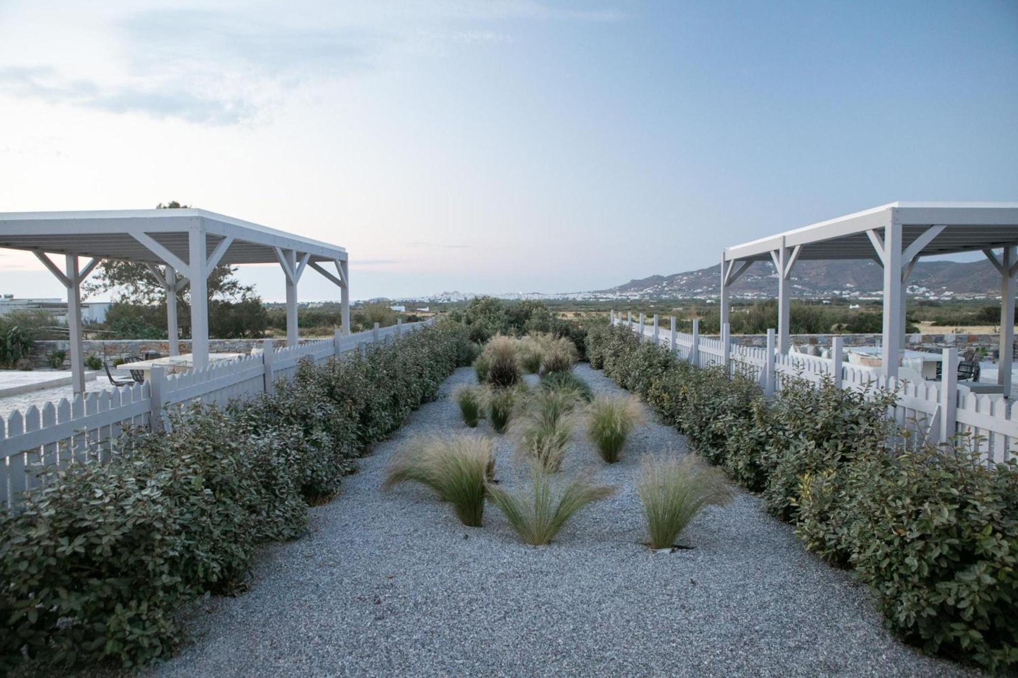 Olives Rocks Naxian Villas Agia Anna  외부 사진